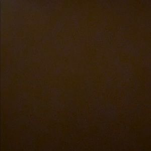 Meet your Posher, Roynesha